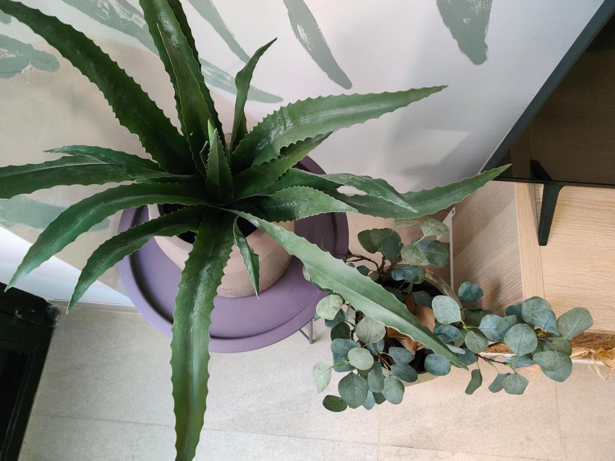 Hola Apartament Alicante Dış mekan fotoğraf
